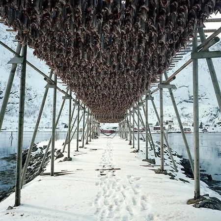 Lofotlove - Modern And Comfy Close To Nature Appartement Sørvågen